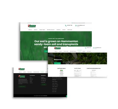 TTF Overview