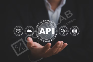 api definition